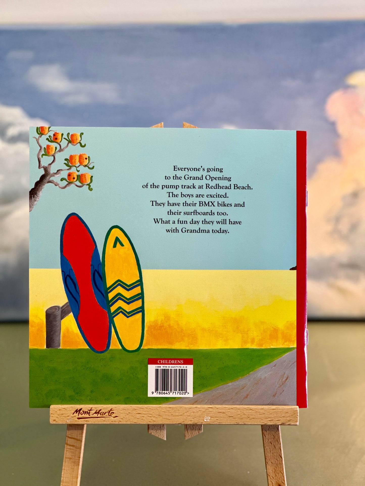 The BMX Brothers at Redhead Beach - children's book