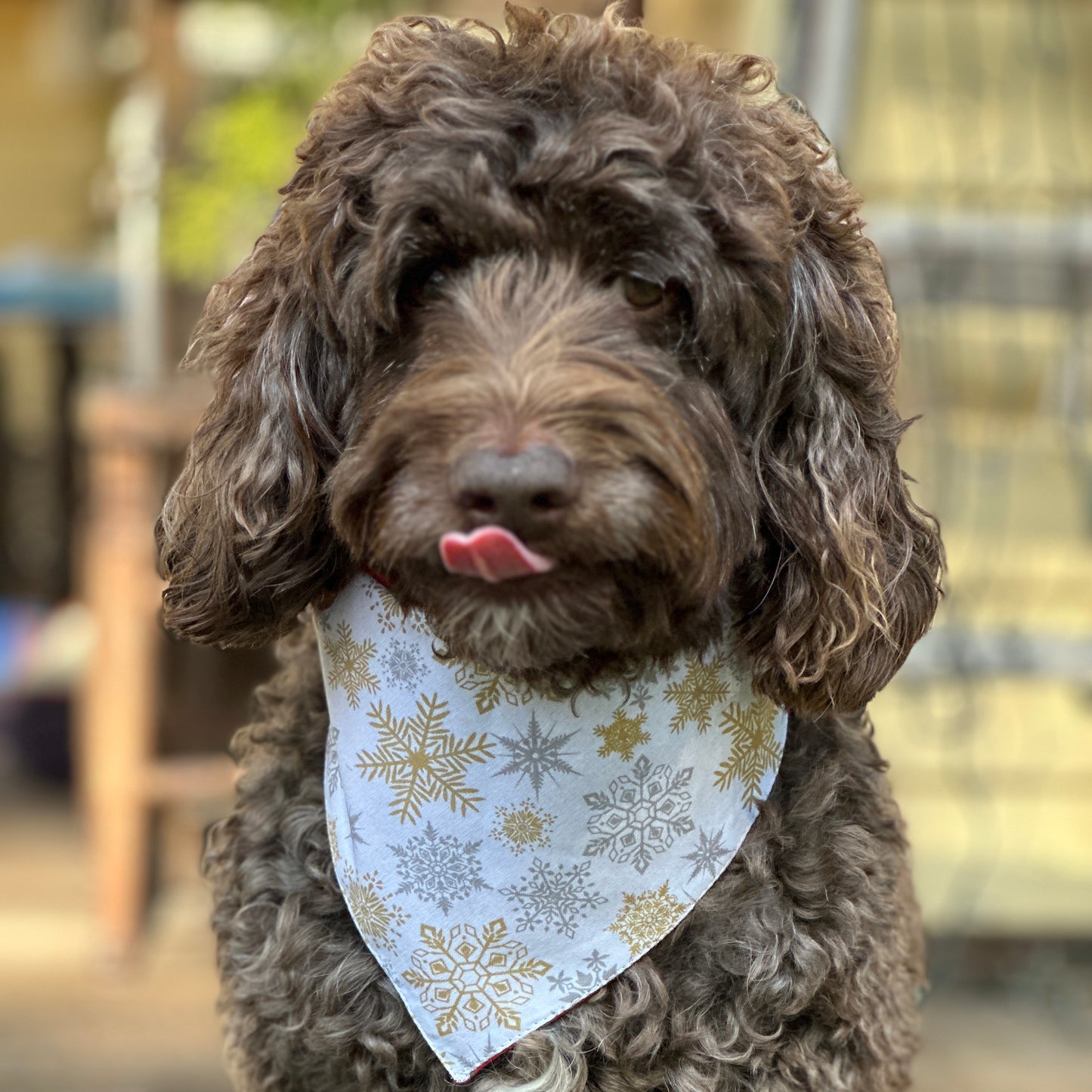 Dog Scarves Bandannas