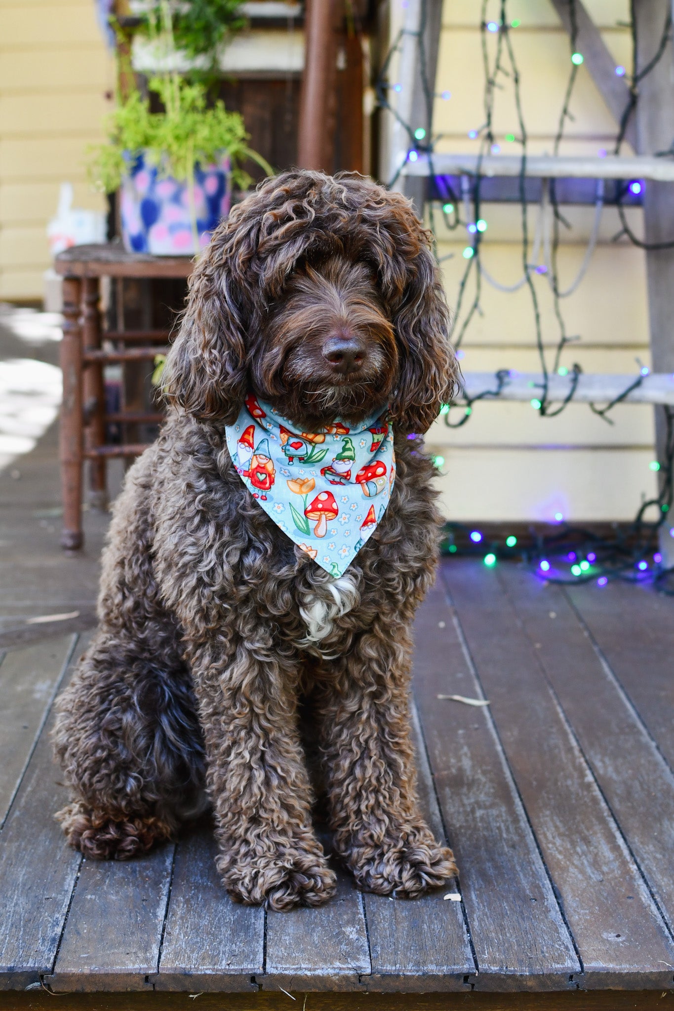 Dog Scarves Bandannas