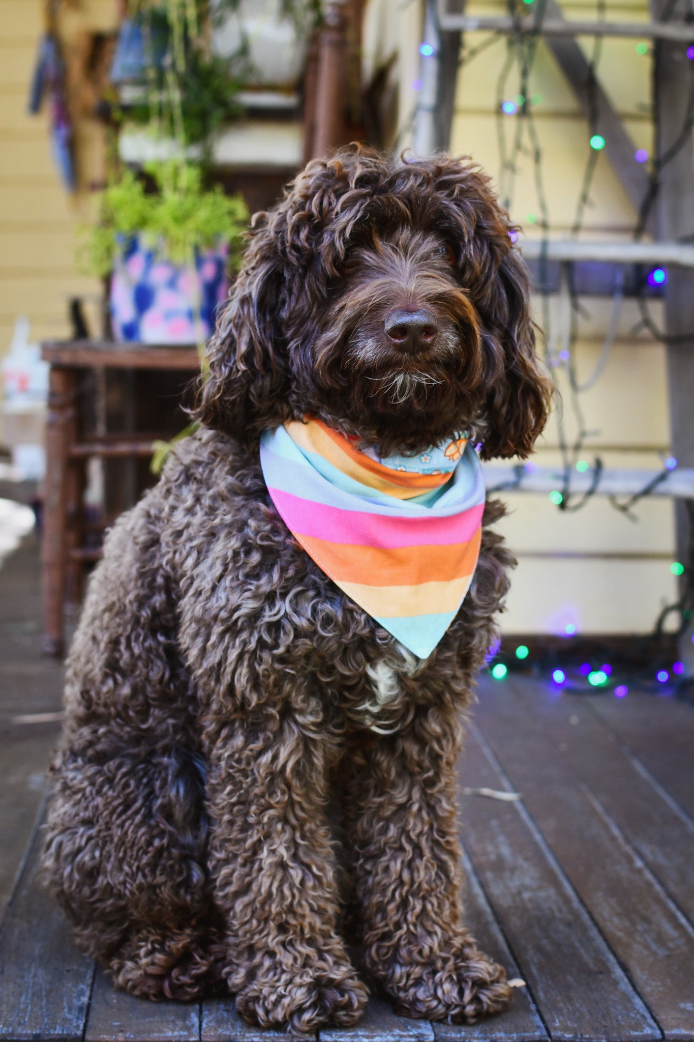 Dog Scarves Bandannas