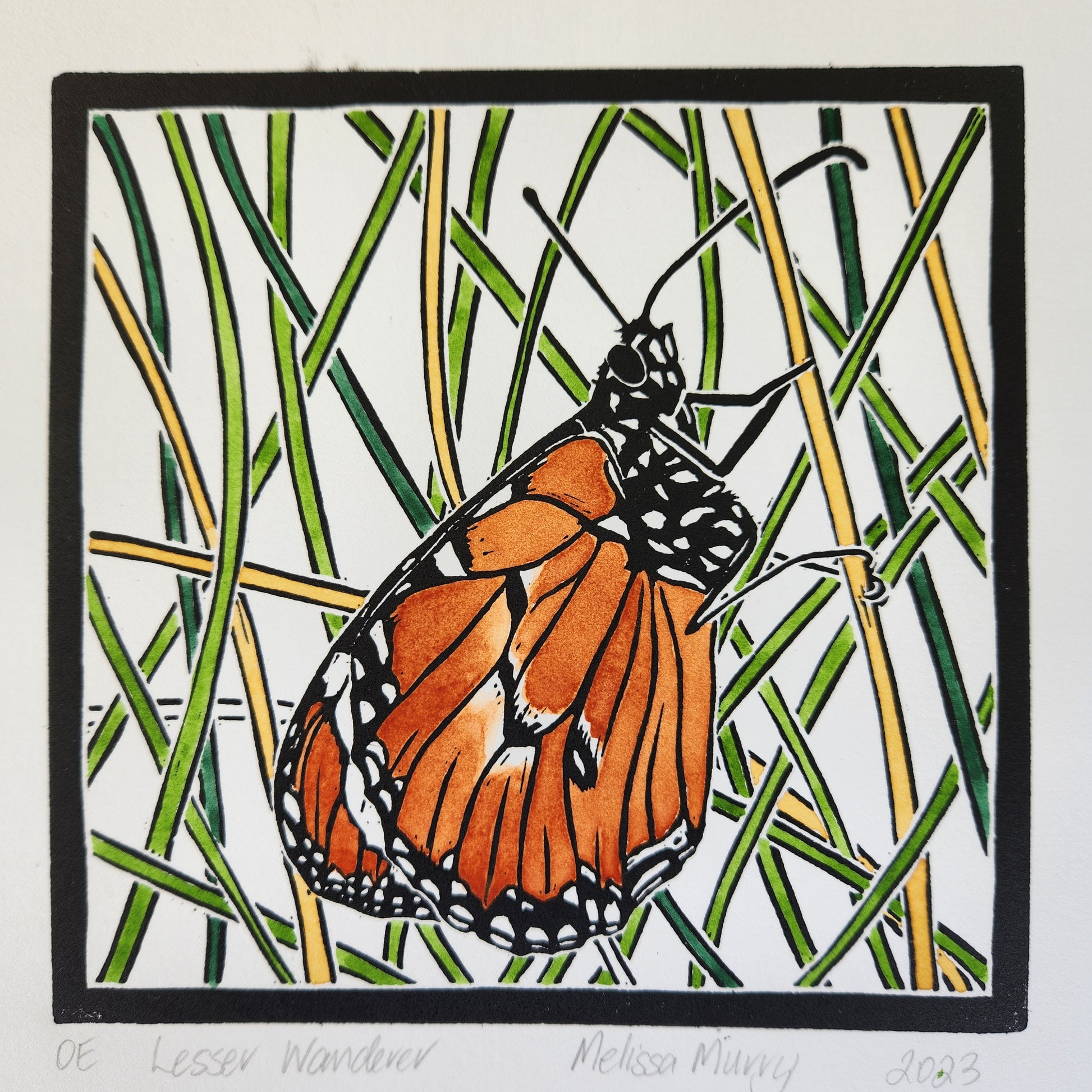 Lesser wanderer butterfly artwork by Melissa Murry