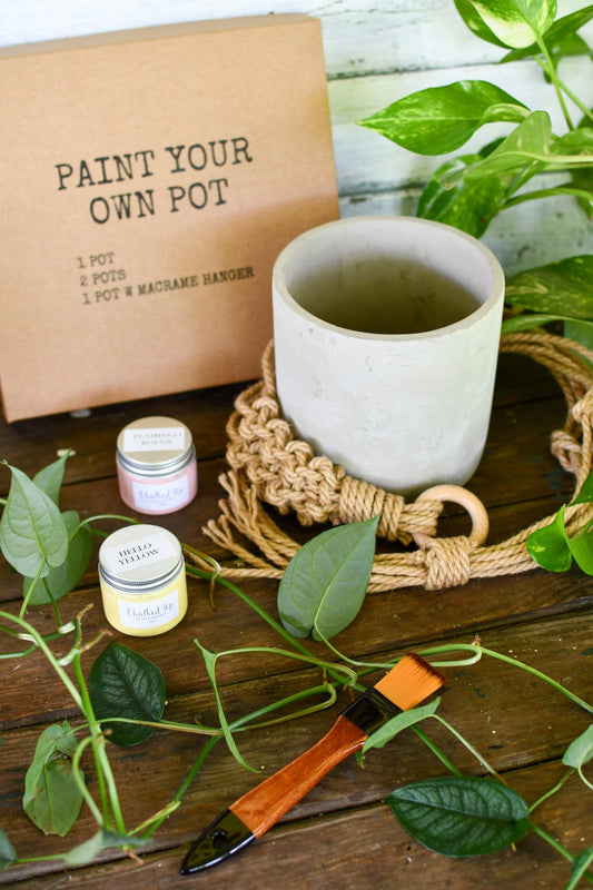 DIY Paint your own pot Kit with macrame