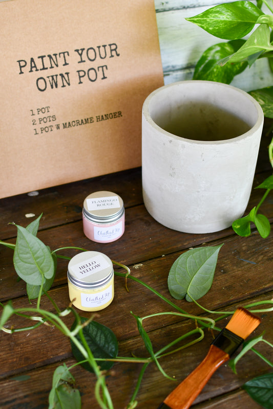DIY Paint your own pot Kit 1 pot