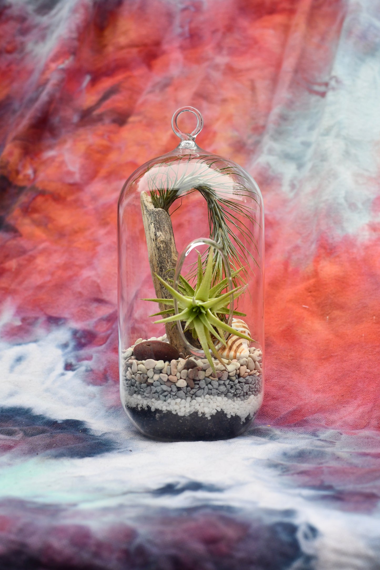Oblong shaped glass terrarium with layers of pebbles, driftwood and airplants
