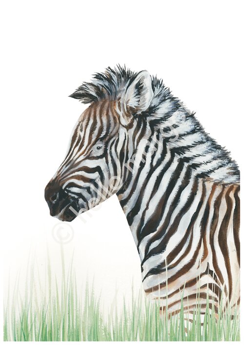 zebra art work