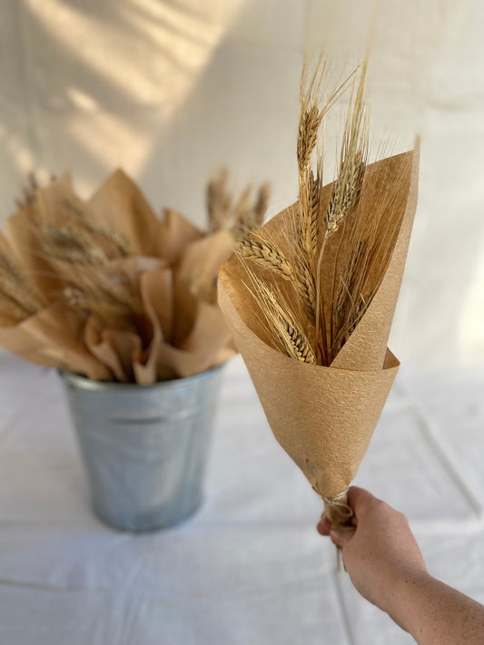 Wheat flowers