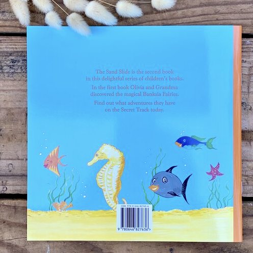 The Sand Slide children's book