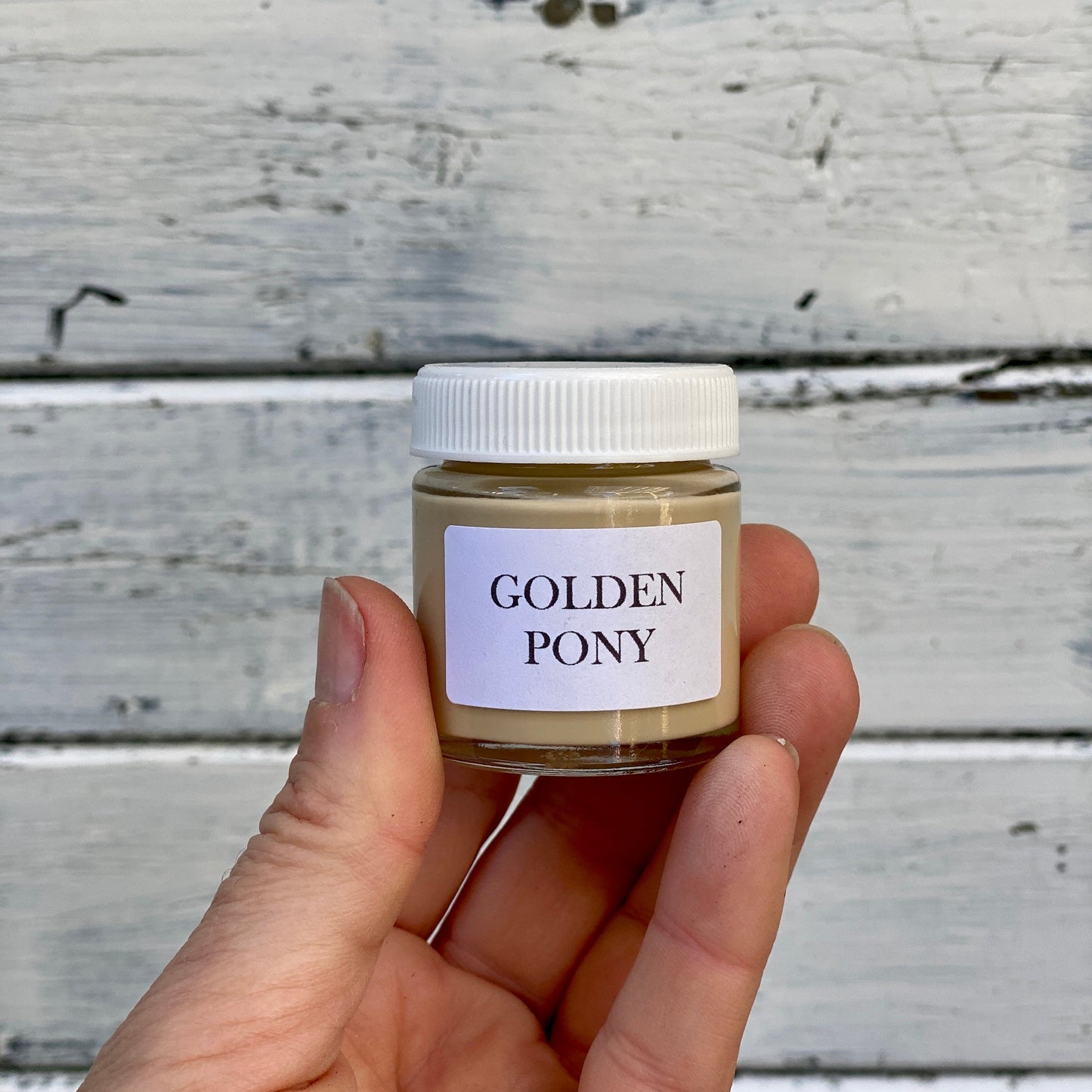 DIY Paint your own pot Kit 1 pot
