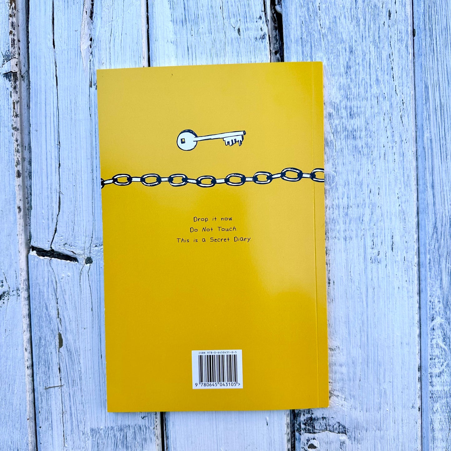 Children's book - Secret Diary