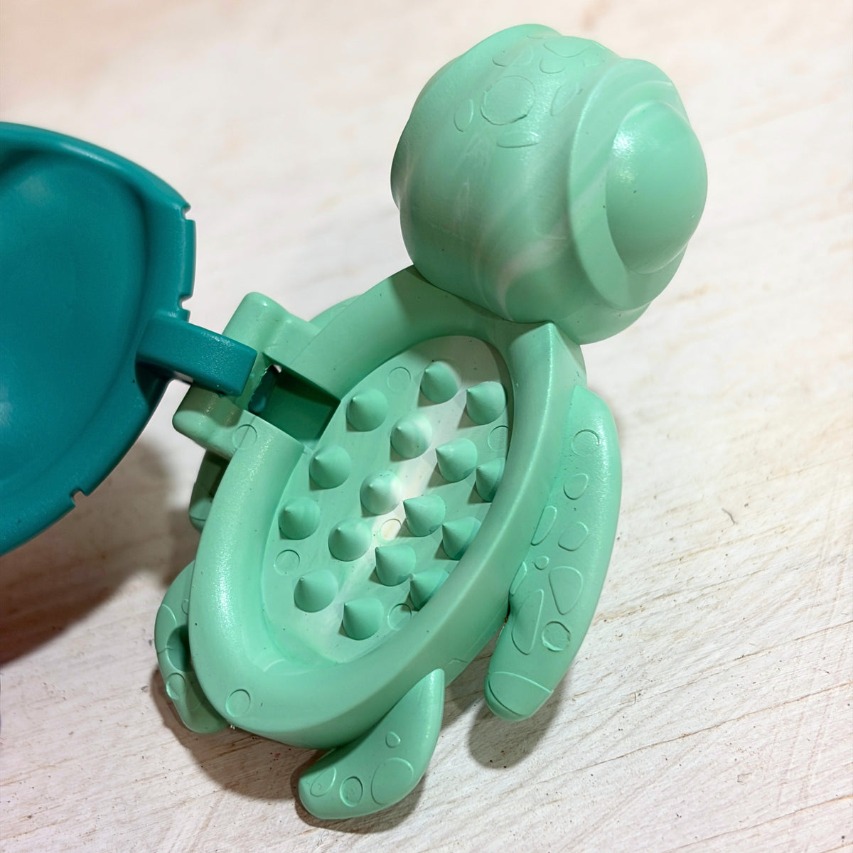 Calm Buddi Turtle Sensory Fidget