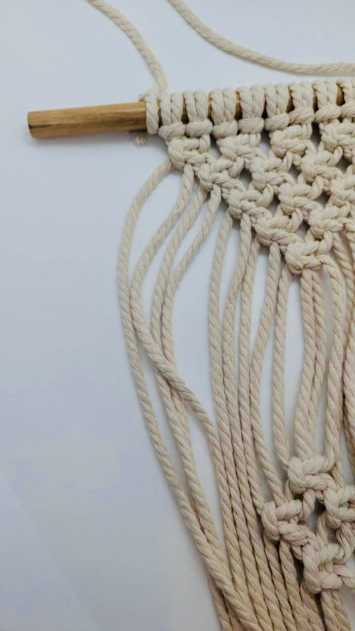 Plant hugger macrame workshop