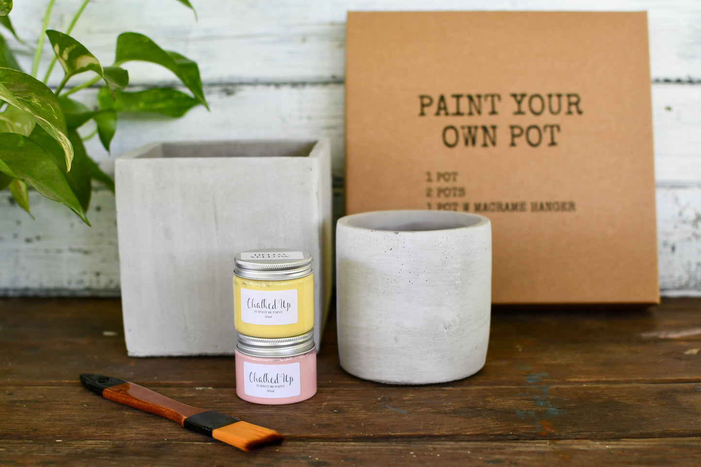 DIY Paint your own pot Kit with macrame