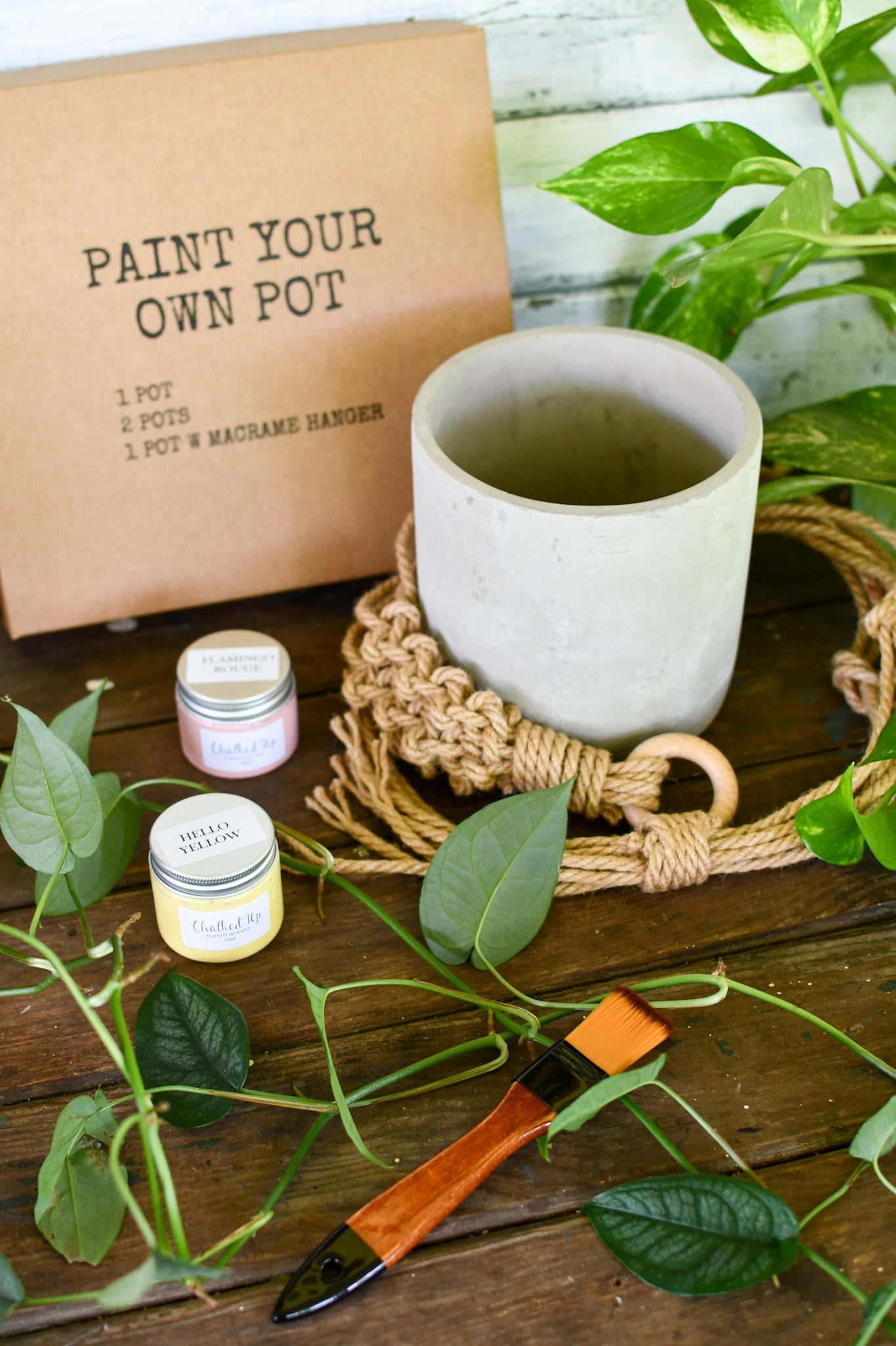 DIY Paint your own pot Kit 2 pots