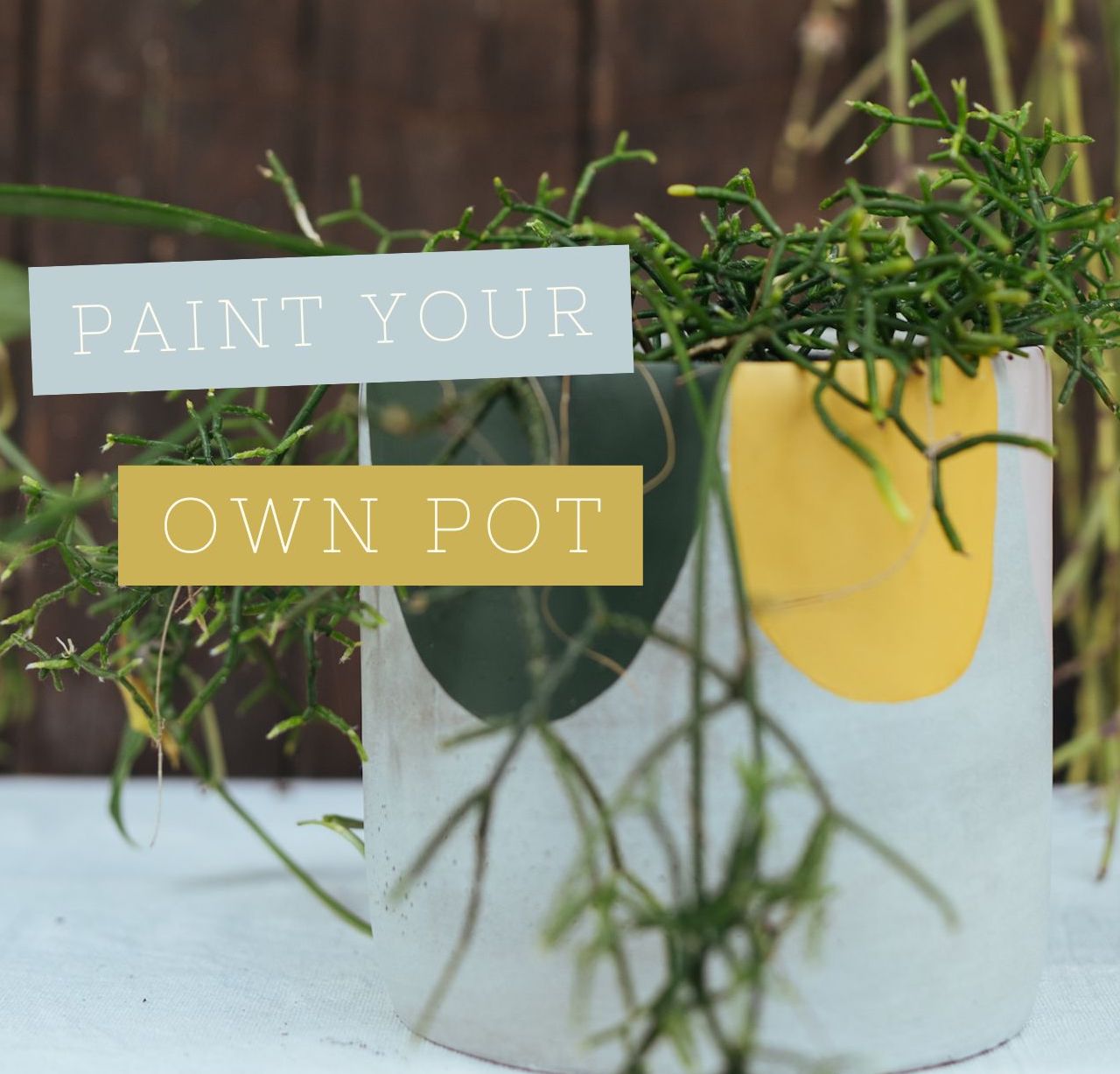 DIY Paint your own pot Kit with macrame