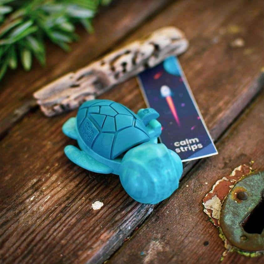 Pocket pal sensory kits