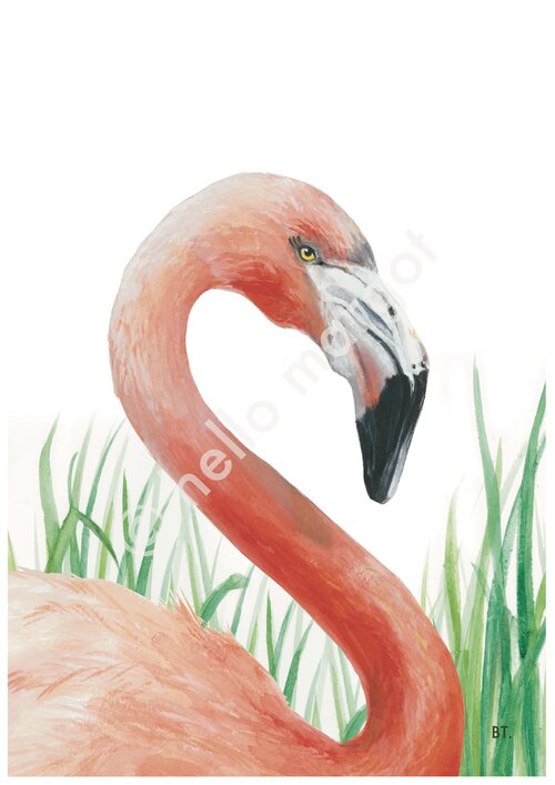 flamingo art work