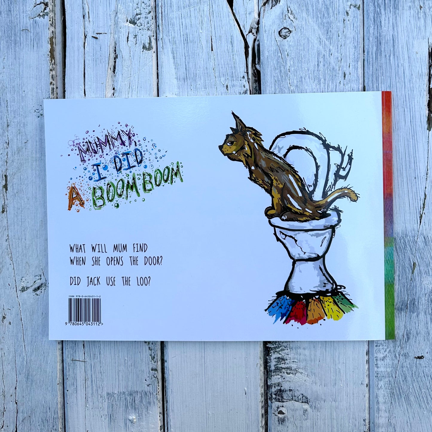 Children's book - I Did A Boom Boom